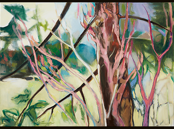 Pink Branches &copy; Paula Martesian